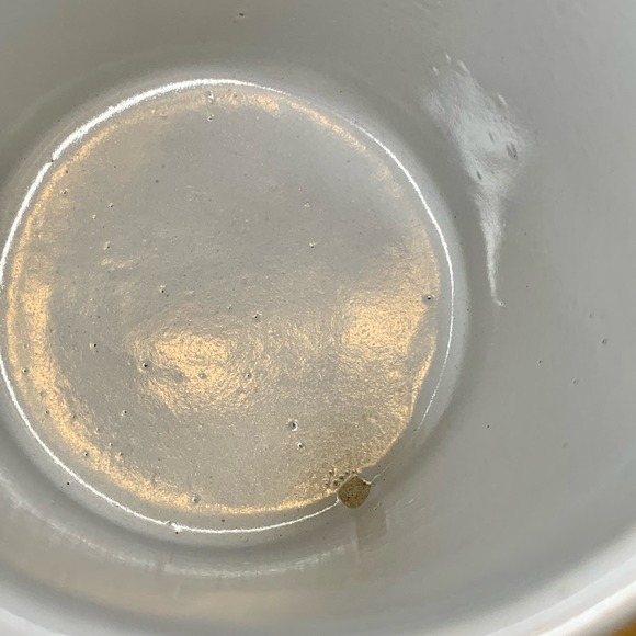 Vintage WSG Monmouth Pottery Western Pony Express USA Gold Diggings - Picture 9 of 12